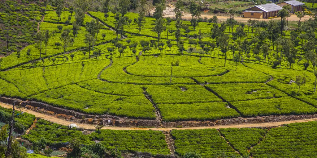 lands image