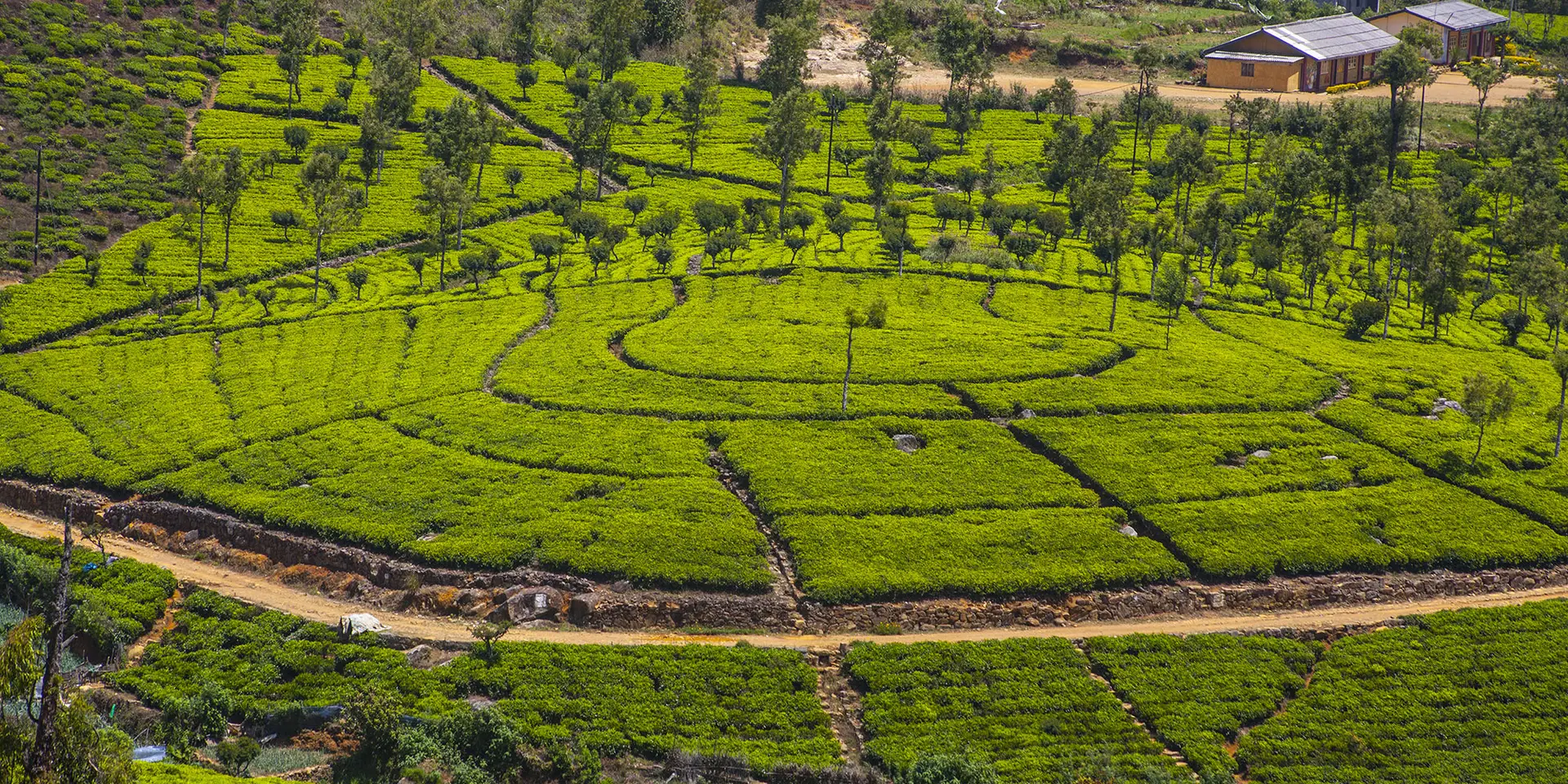 lands image